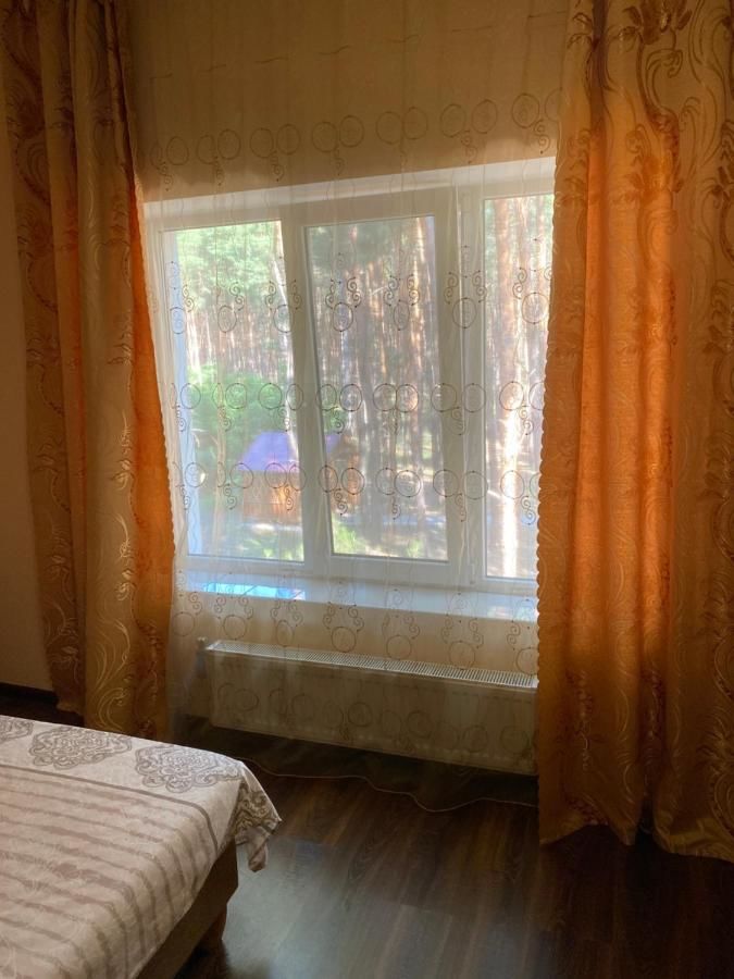 Отель Золотой Фазан Radensʼk