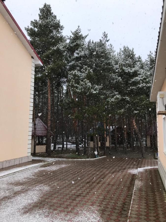 Отель Золотой Фазан Radensʼk