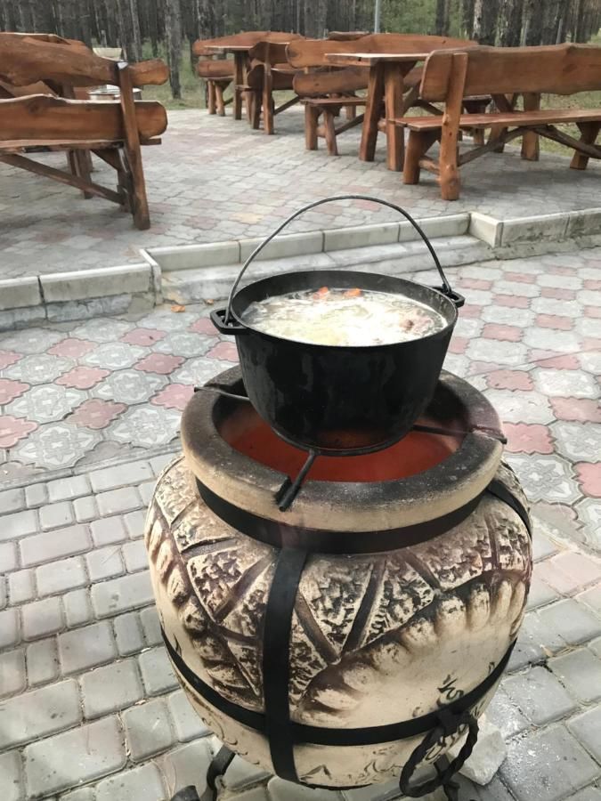 Отель Золотой Фазан Radensʼk